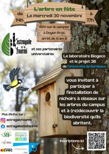 L'arbre en fête : installation de nichoirs à oiseaux sur le campus