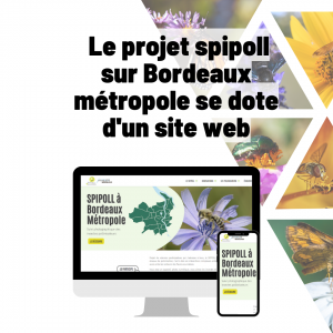 Le projet SPIPOLL sur Bordeaux métropole se dote d'un site web !