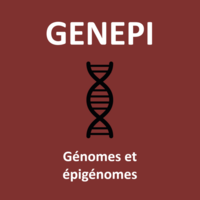 genepi1