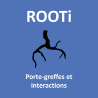 rooti1