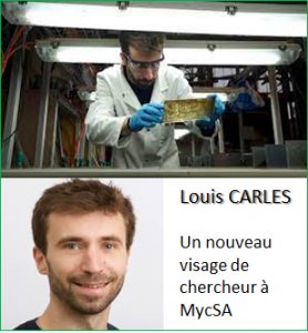 Louis Carles