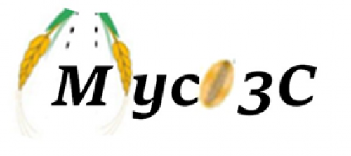 Projet Recherche Myco3C