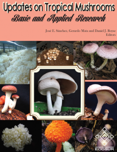 Tropical Mushrooms