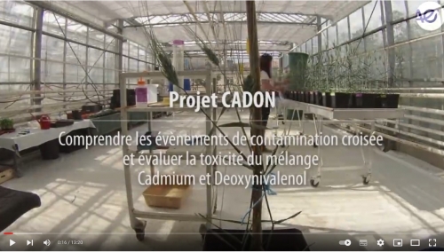 Vidéo du projet ANR CADON