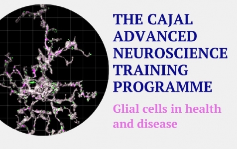 Cajal lectures: glial cells in health and diseases