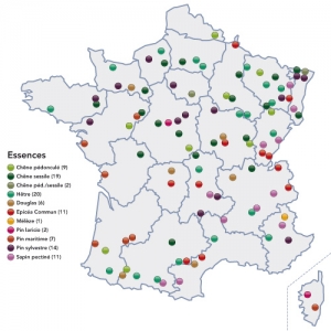 National REseau of long-term follow-up of the FORest ECOsysthemes ( RENECOFOR)